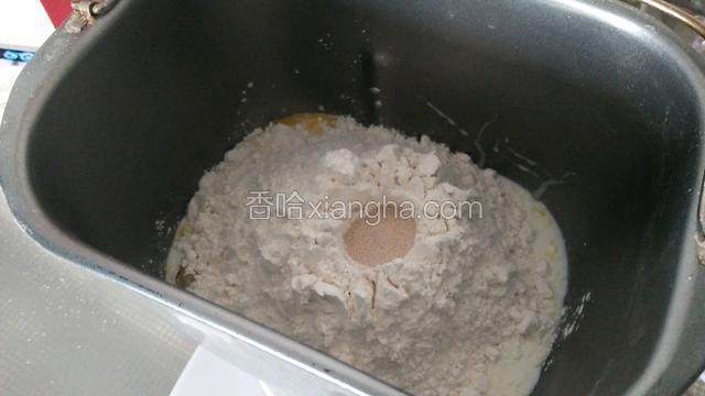 把所有食材依次加入面包桶内。顺序是:鸡蛋，水，糖，盐，高筋面粉，奶粉，酵母，油