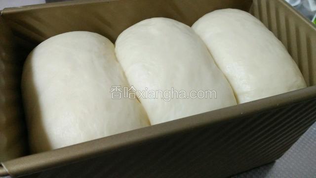 放在烤箱里，二次发酵，烤箱里再放碗开水，模具盖子先不用盖，启动发酵功能20分钟，继续等待面团发酵到九分满再盖模具盖