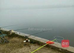 清蒸海蟹的做法图解1