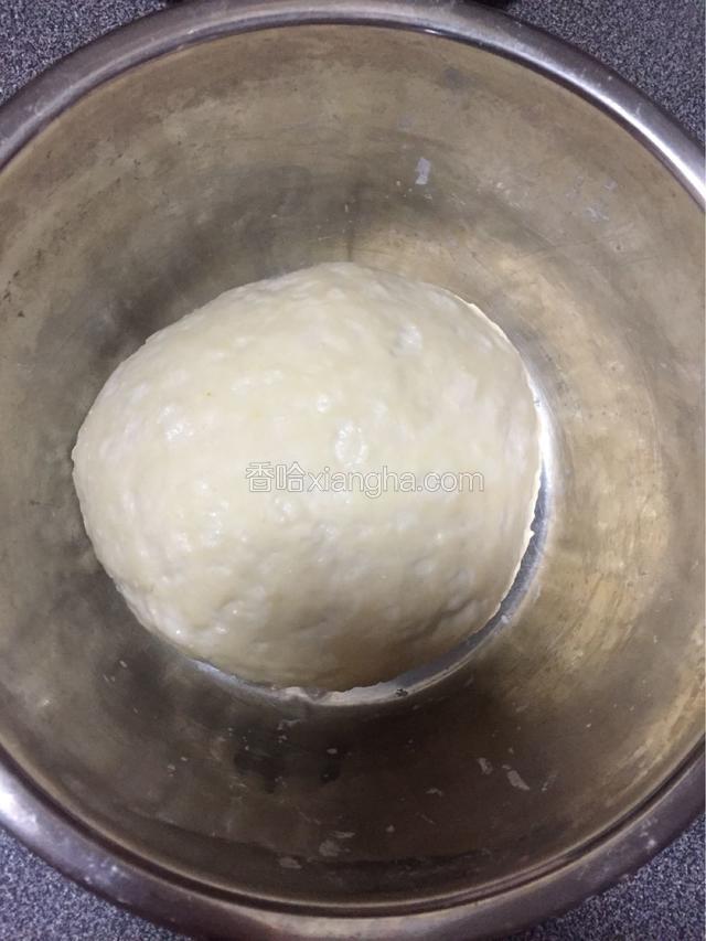 发酵两倍大，排气松弛。