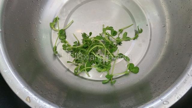 绿豆苗洗净备用