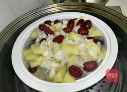 苹果百合炖燕窝的做法图解10