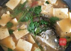 鲤鱼炖豆腐的做法图解6