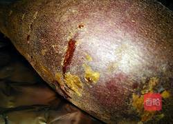 烤箱红薯的做法图解6