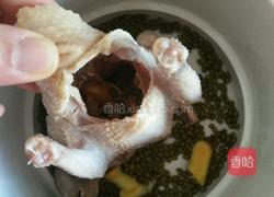 乳鸽百合炖绿豆汤的做法图解3