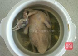 乳鸽百合炖绿豆汤的做法图解4