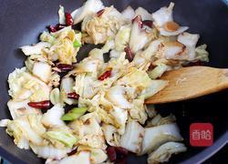 醋溜白菜的做法图解7