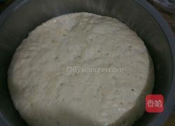 馒头（随心随意的形状）的做法图解2