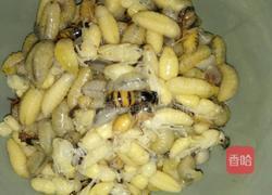 隔水蒸蜂蛹饭的做法图解2