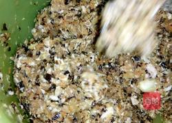 美味饺子的做法图解5