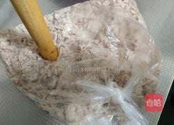 猪肉松的做法图解7