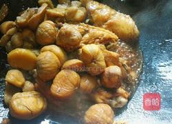 板栗烧鸡翅的做法图解14