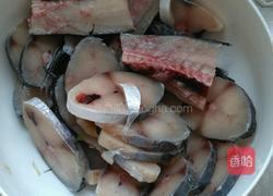 香煎鲅鱼的做法图解2