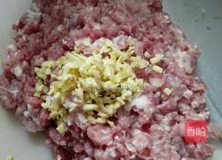 大白菜香菇猪肉饺子的做法图解6