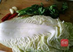 凤尾白菜的做法图解1