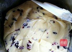 蔓越莓曲奇的做法图解6