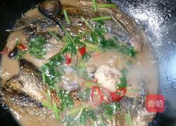 家炖青鱼的做法图解7