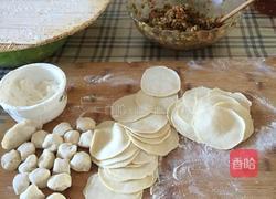 立冬 饺子 的做法图解5