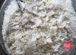 萝卜丝素馅饺子的做法图解12