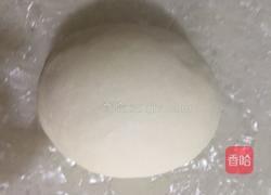 萝卜丝素馅饺子的做法图解13