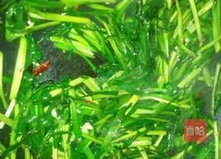 韭菜鸡蛋的做法图解5
