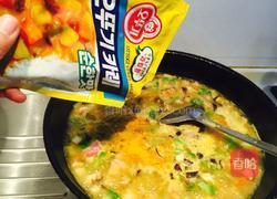 咖喱鸡块饭的做法图解9