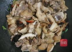 香菇焖鸡的做法图解7
