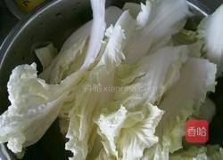 白菜炖豆腐的做法图解3