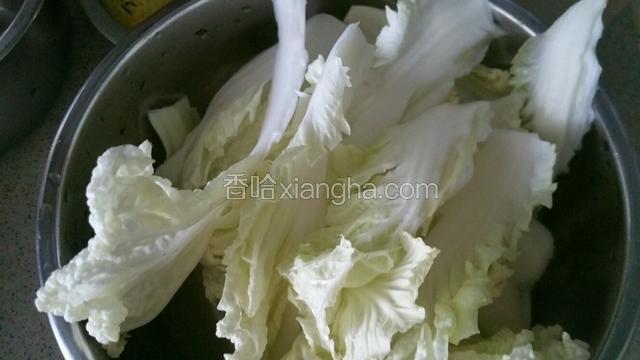 白菜浸泡洗净沥干水份撕成大块