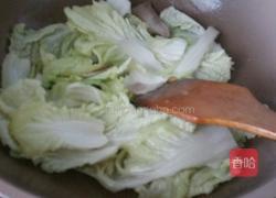 白菜炖豆腐的做法图解6