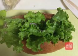 热狗面包(波兰种)的做法图解14