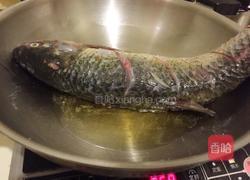 垮炖鱼的做法图解2