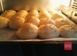 红豆沙小餐包的做法图解17