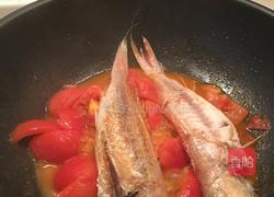 番茄焖红衫鱼的做法图解10