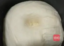 Cranberry yogurt chess bread recipe 3