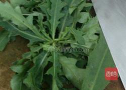 刺角瘦肉饼的做法图解1