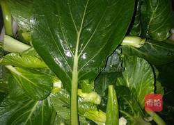 白菜炒木耳的做法图解1