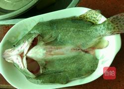 清蒸桂花鱼的做法图解1