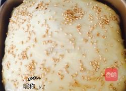 酸奶吐司的做法图解6