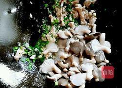 小蘑菇炒肉片（无盐无味精版）的做法图解8