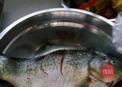 密方红烧鱼的做法图解2