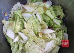 白菜炖粉条的做法图解5
