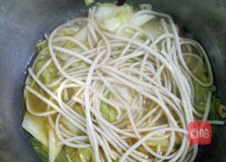 白菜炖粉条的做法图解6