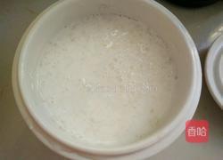 雪燕炖牛奶的做法图解5