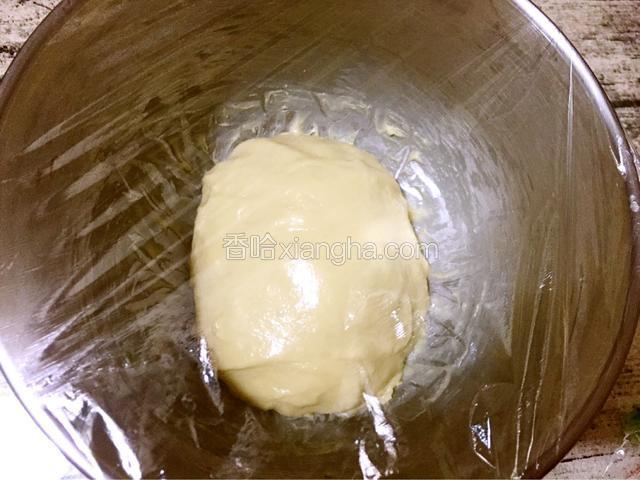盖保鲜膜放在温暖处发酵至2-2.5倍大
