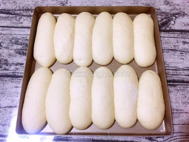 再次发酵两倍大