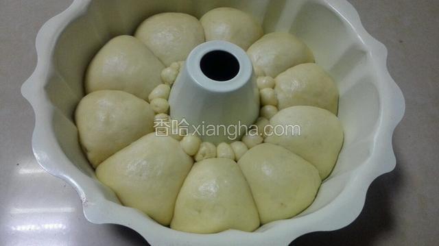 放入烤箱，调到发酵功能，里面放一碗开水进行二次发酵，发酵2.5倍大，拿出预热烤箱！