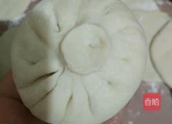 豆角肉馅包子的做法图解16