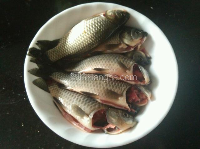 鲫鱼宰杀干净，这么小的鱼就不要去鳞了，主要是喝汤，鱼麟煮好了筷子逆着鳞片一推就可以了，鱼麟一起炖汤食疗效果更佳。