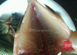 鲫鱼炖茶油的做法图解2